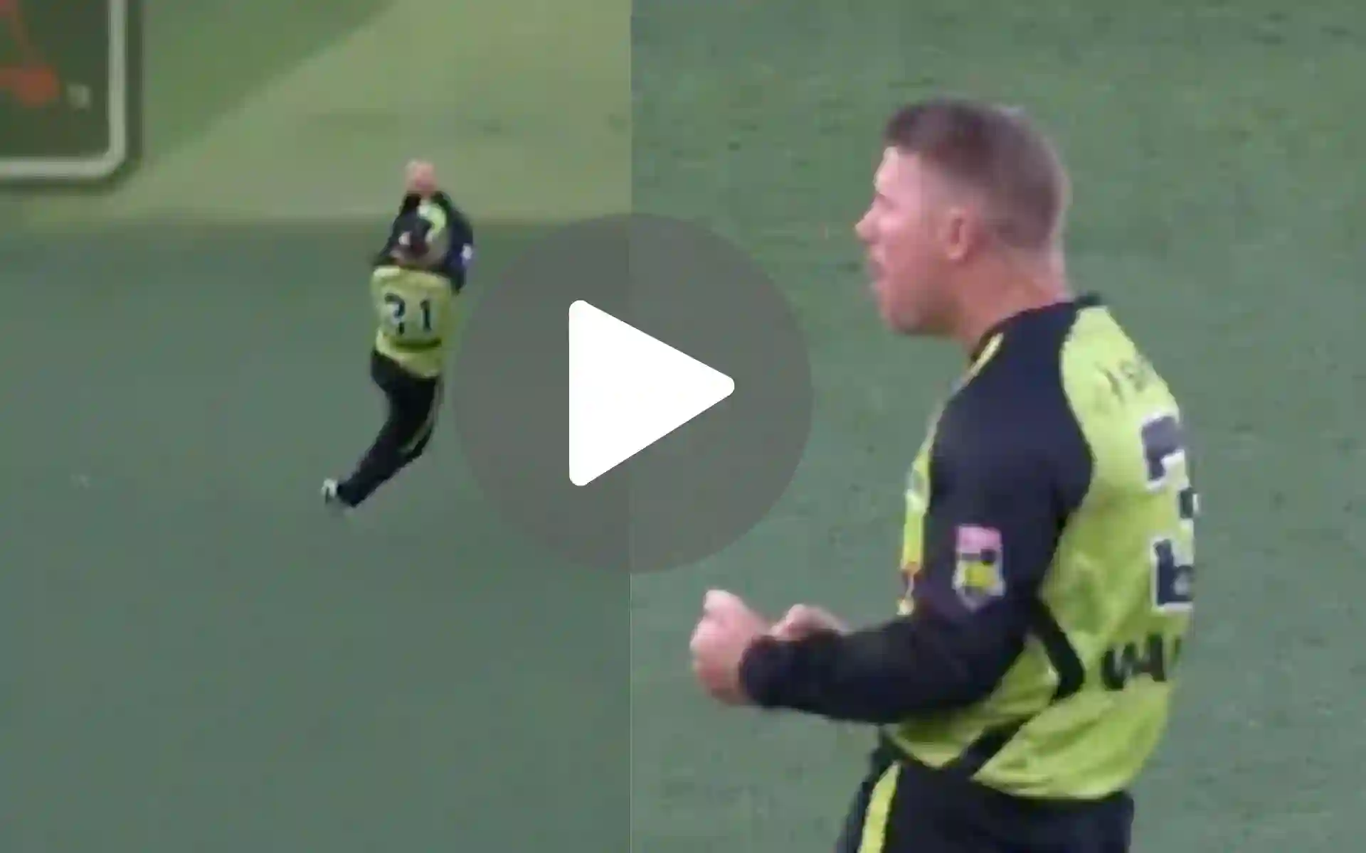 [Watch] David Warner's Animated Roar As He Grabs Spectacular Catch In BBL Challenger